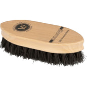 Waldhausen Hard Brush