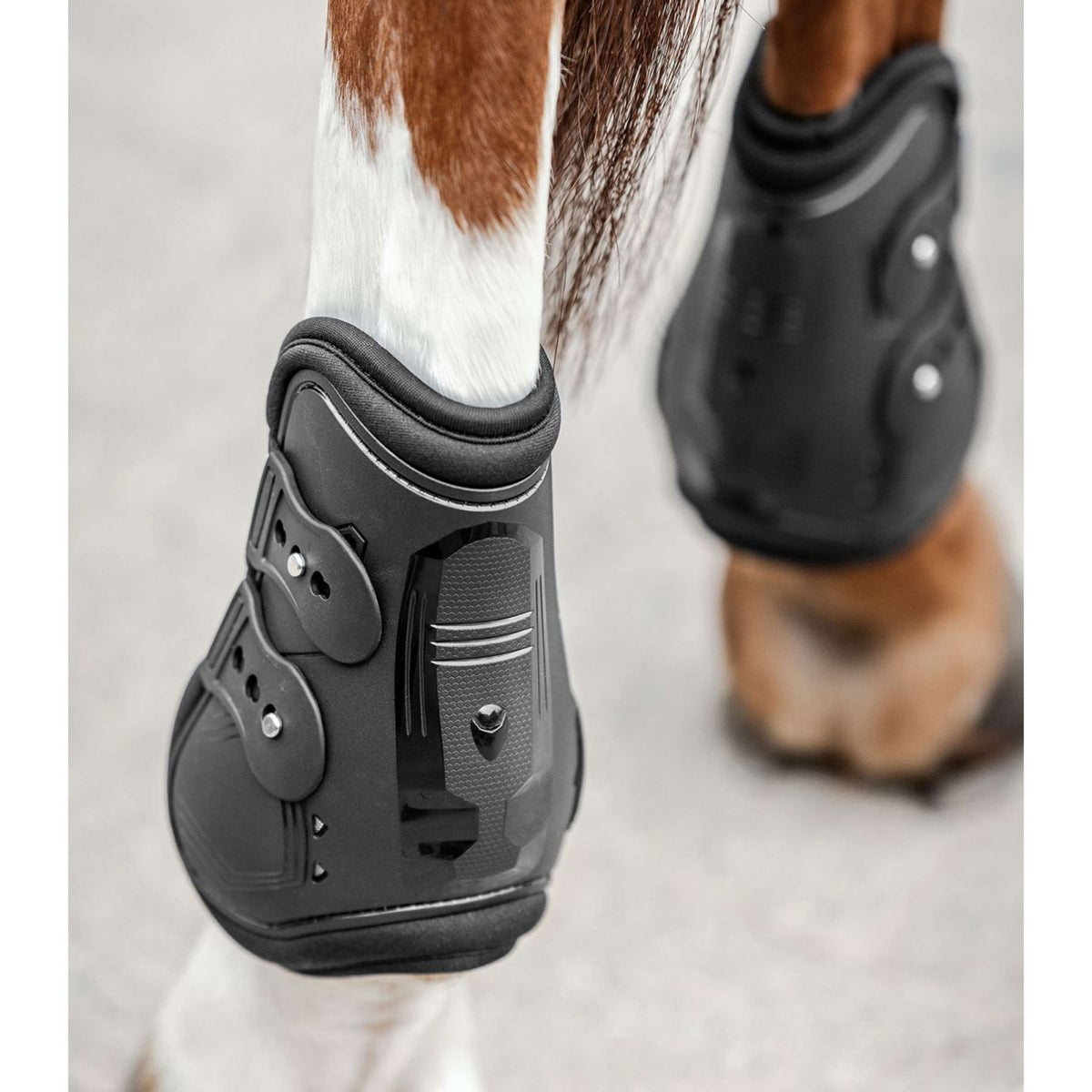 Waldhausen Fetlock Boots Memory Foam Pro Black