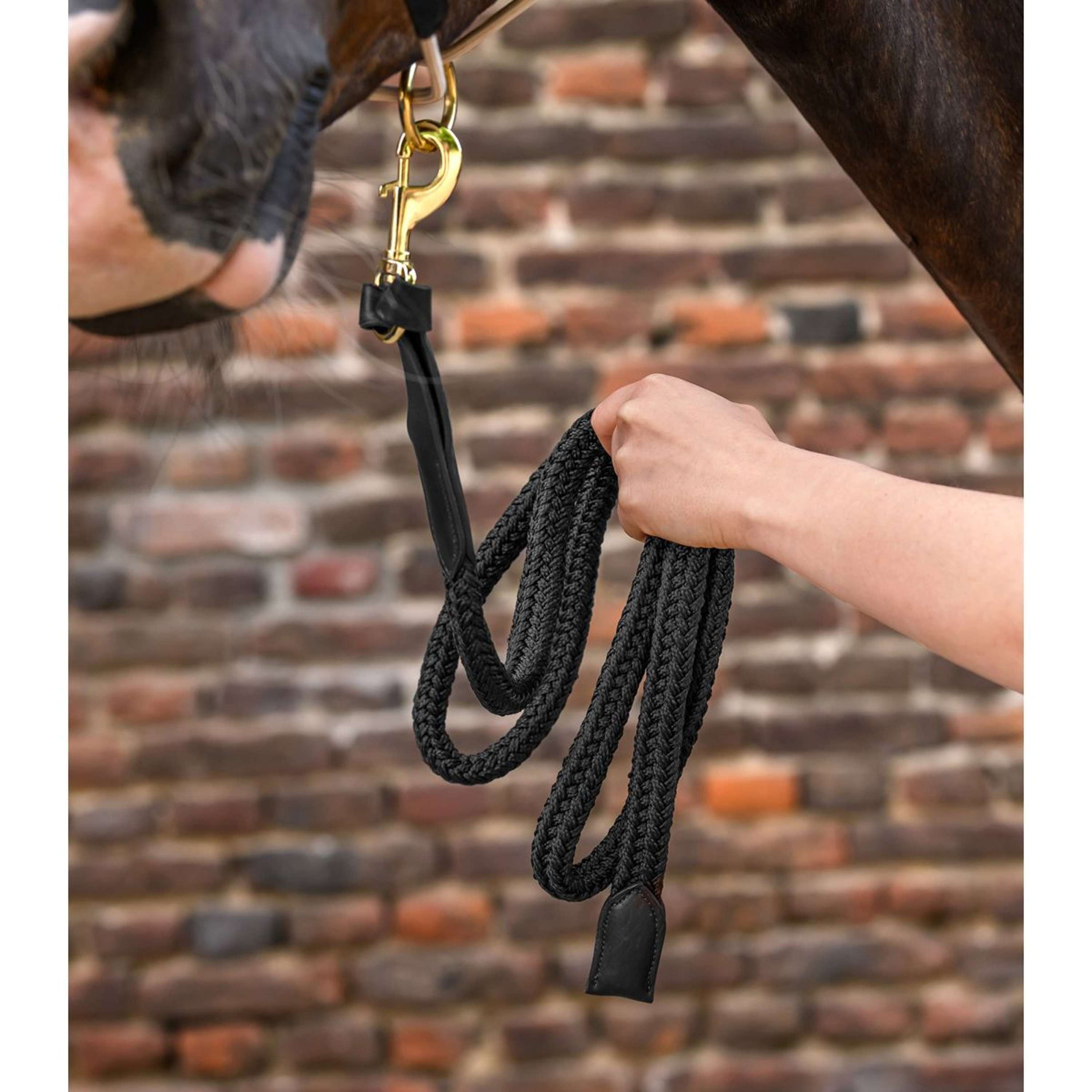 Waldhausen Lead Rope Royal with a Carabiner Black