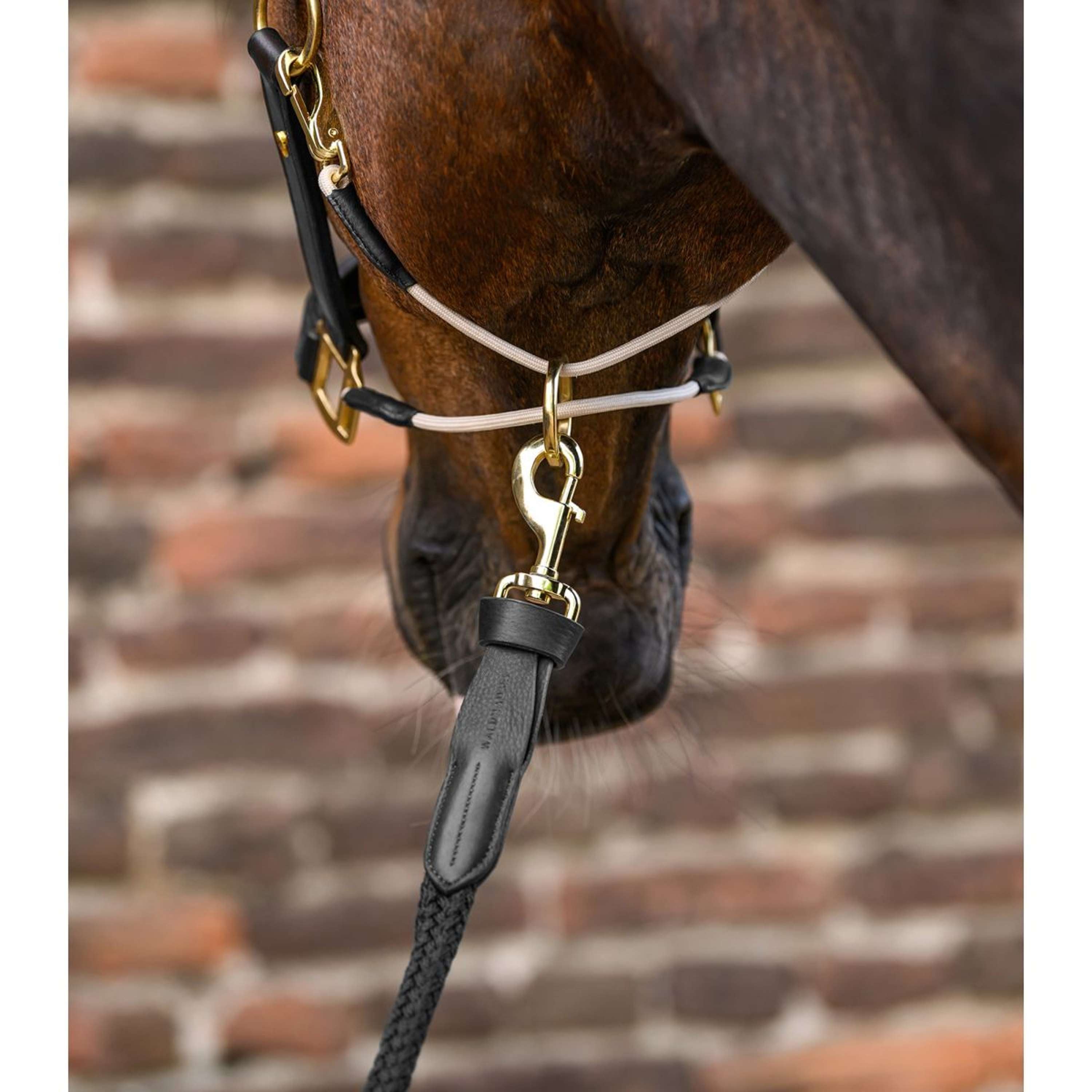 Waldhausen Lead Rope Royal with a Carabiner Black