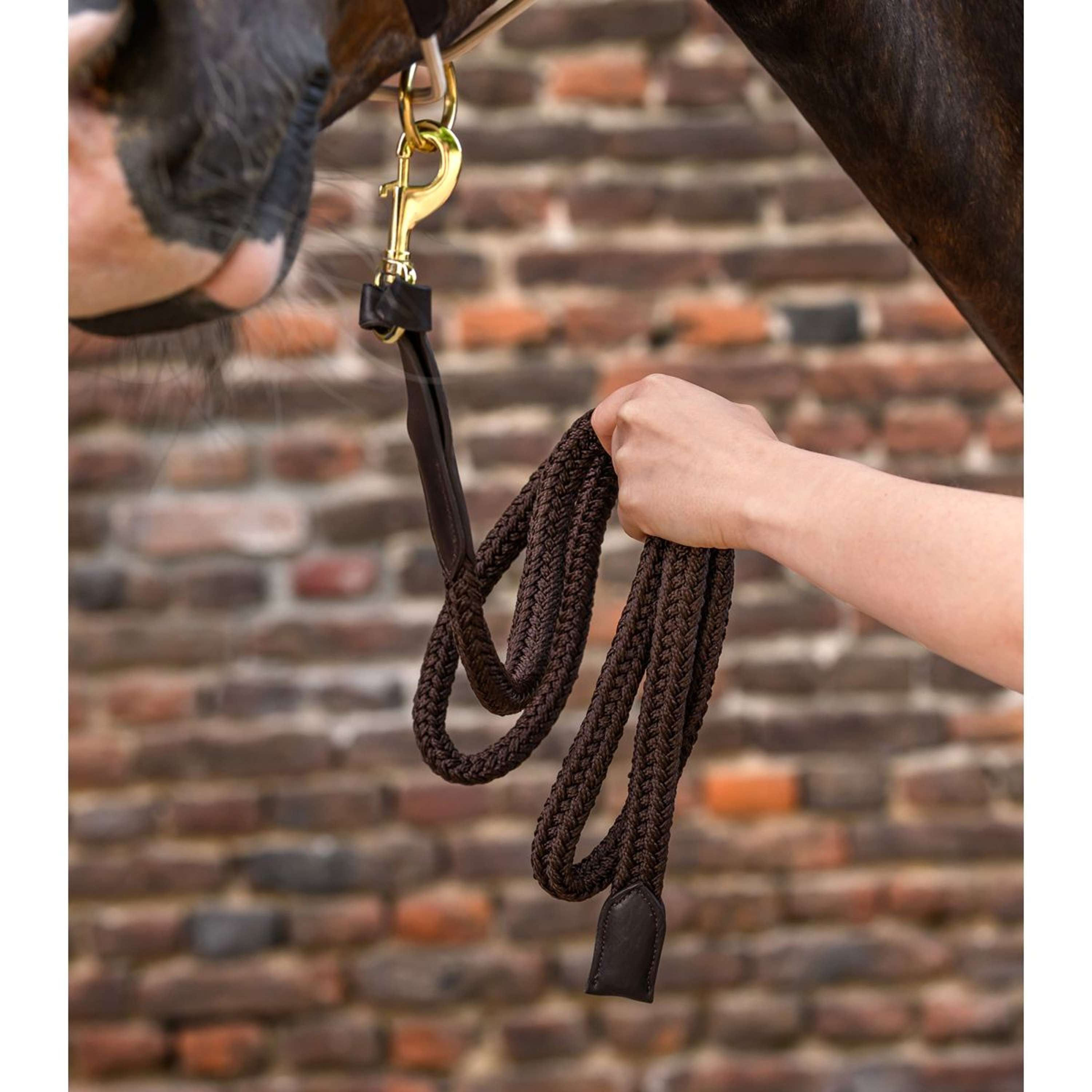 Waldhausen Lead Rope Royal with a Carabiner Brown