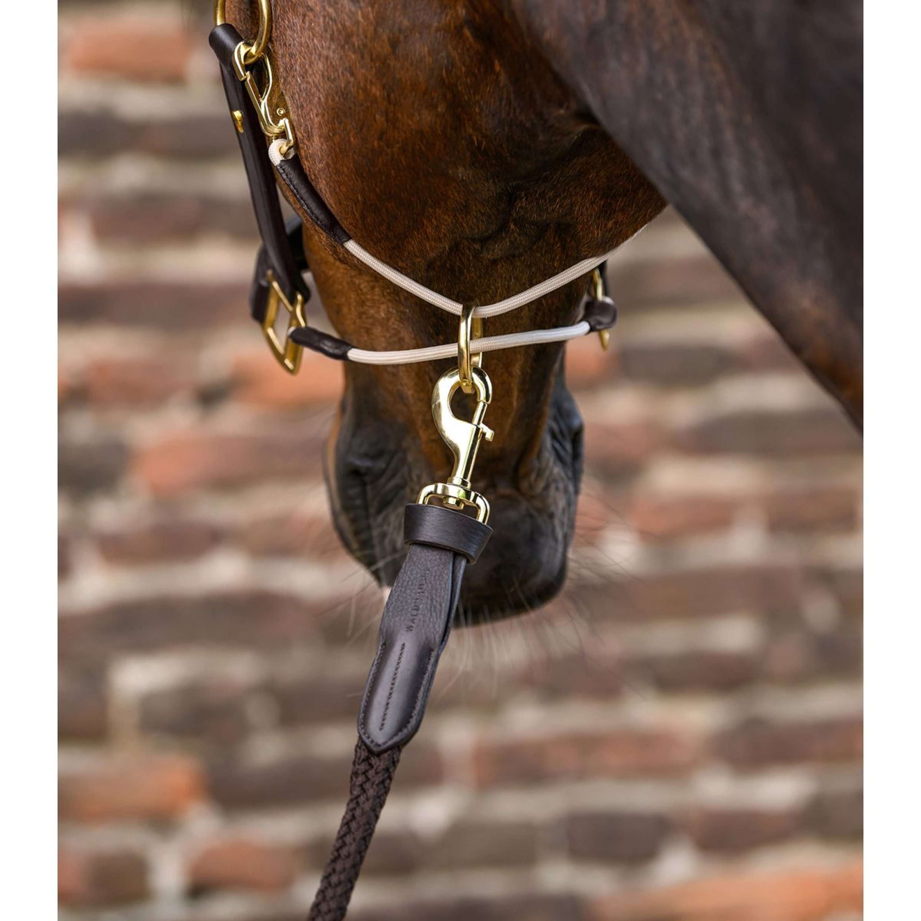Waldhausen Lead Rope Royal with a Carabiner Brown