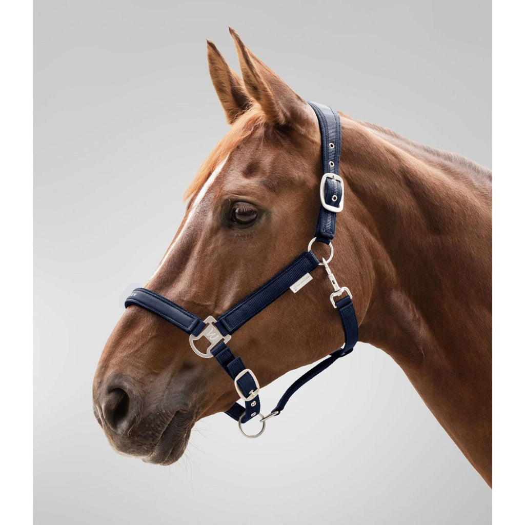 Waldhausen Halter Athletic Nightblue