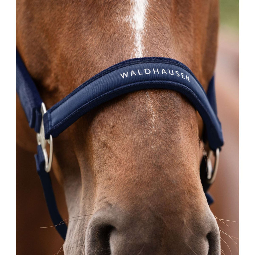 Waldhausen Halter Athletic Nightblue