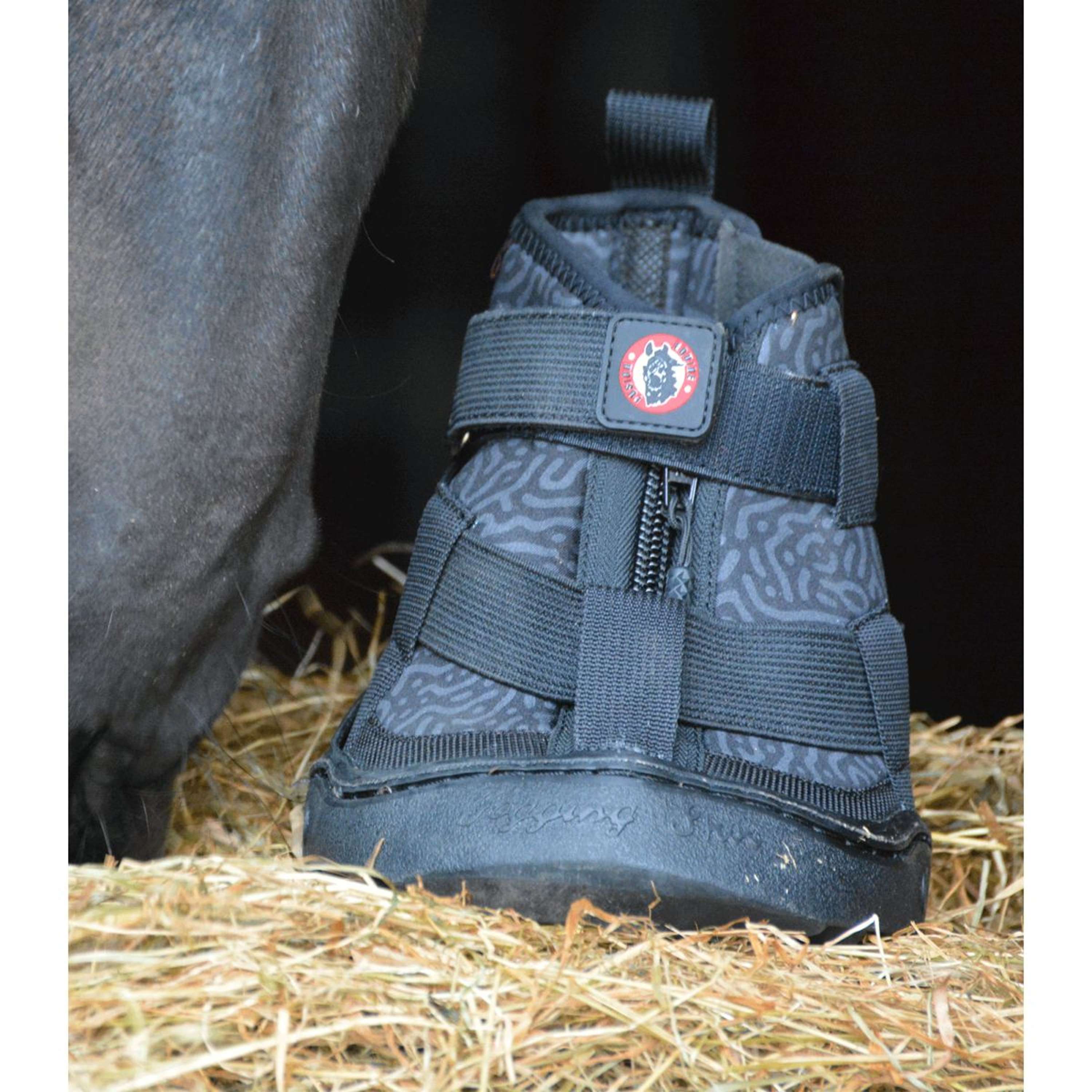 Equine Fusion Horse Shoe 2.0