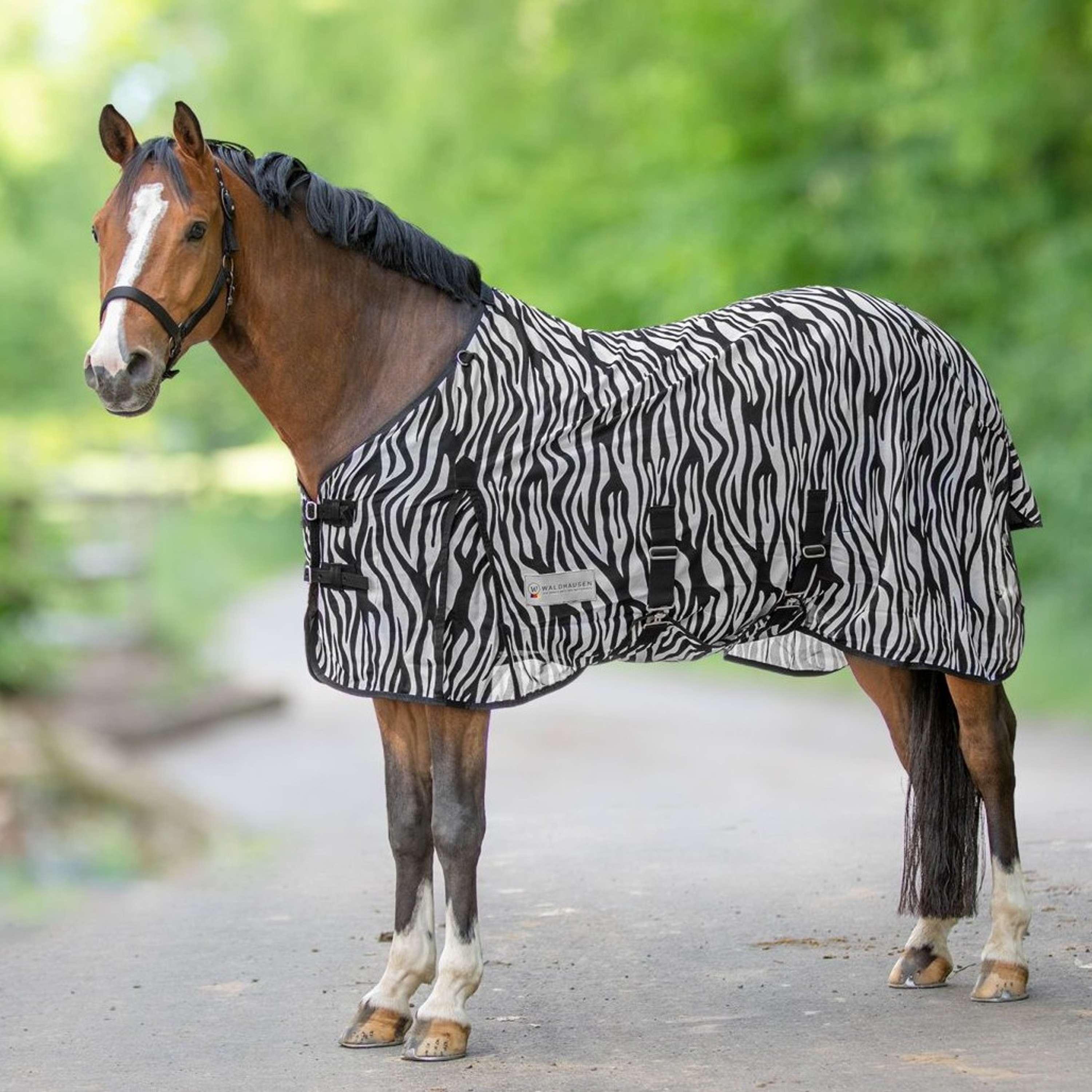 Waldhausen Fly Rug Zebra