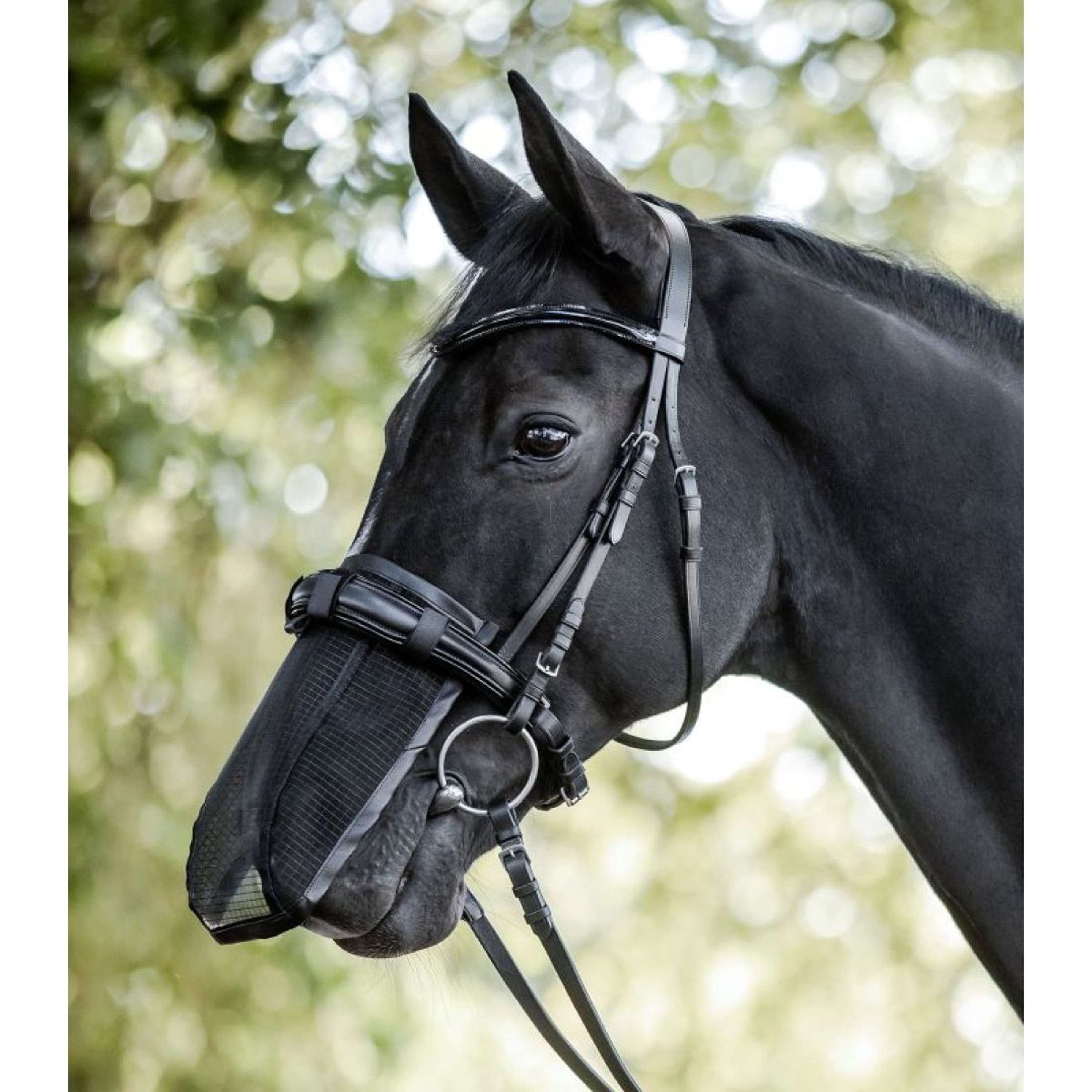 Waldhausen Nose Net Black