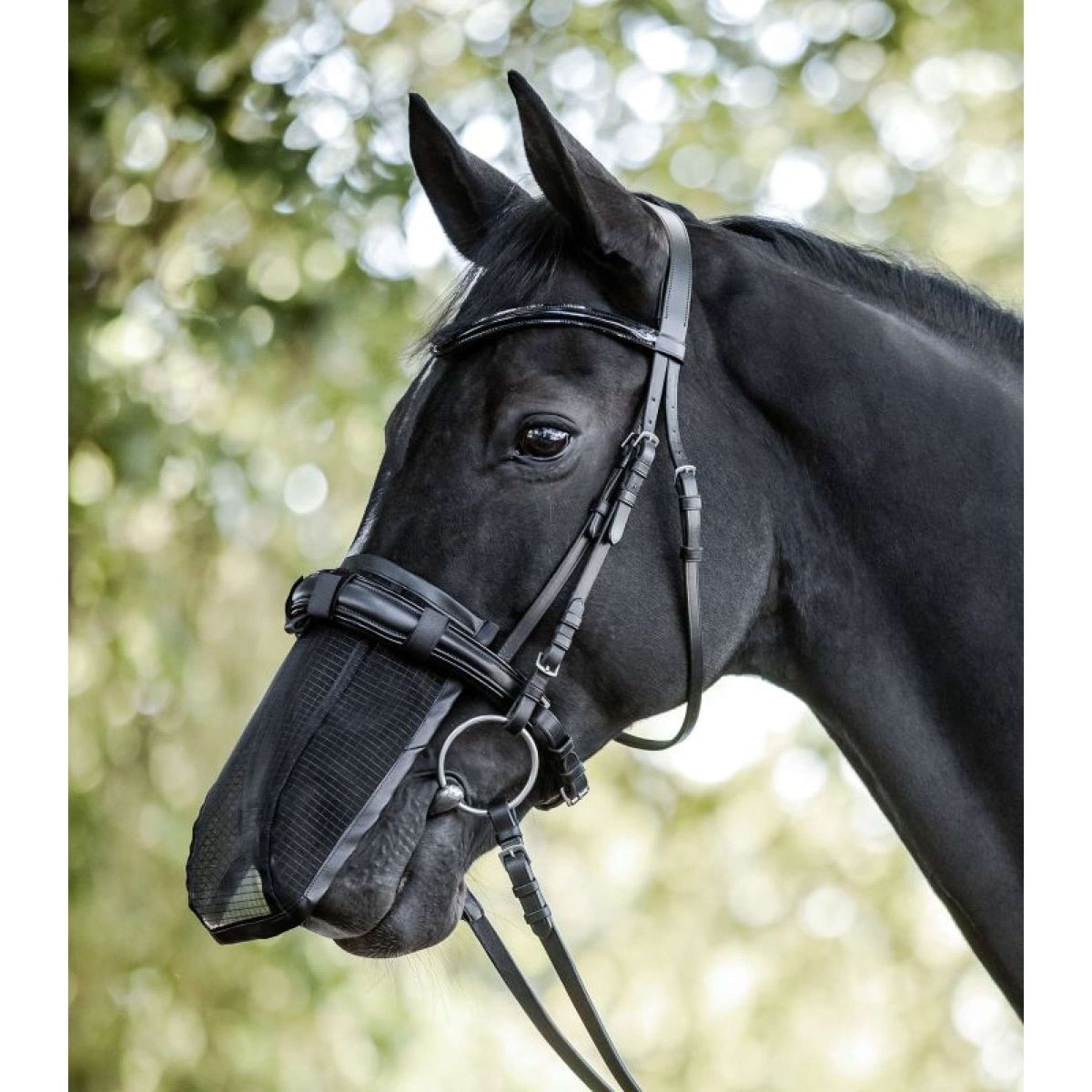 Waldhausen Nose Net Black Waldhausen Nose Net Black