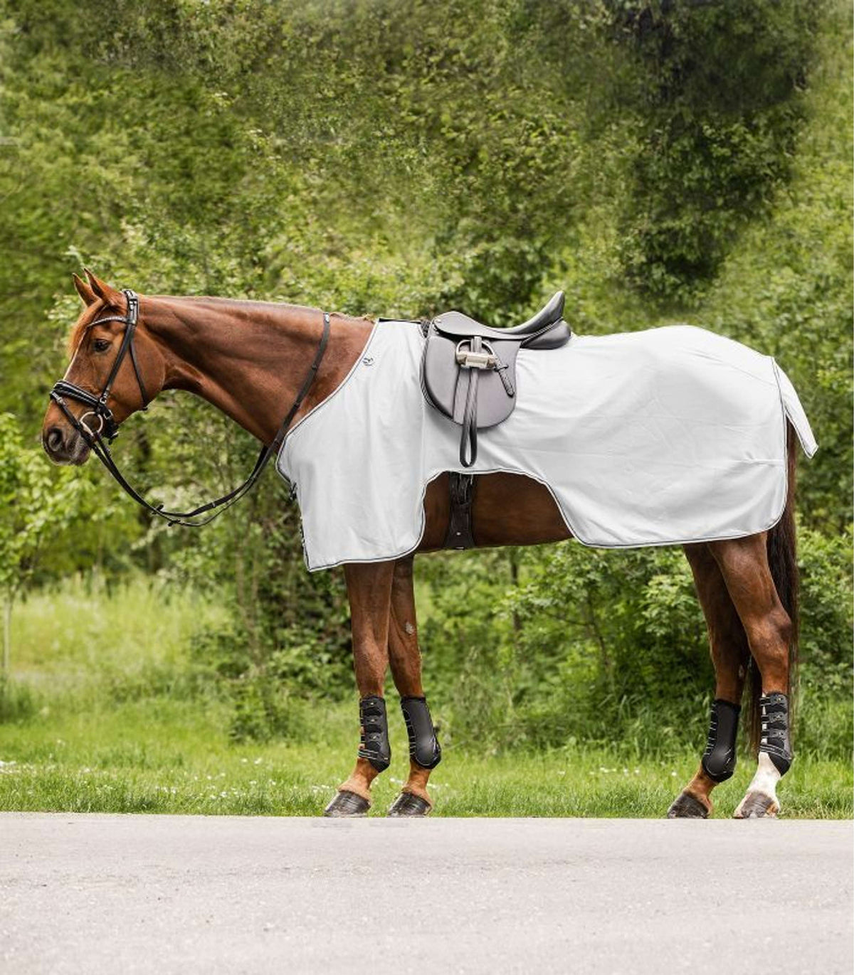 Waldhausen Anti-fly Riding Rug Protect Silver grey/Gray