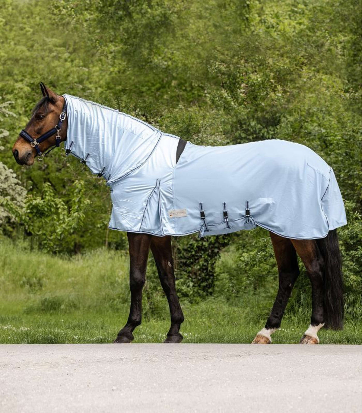 Waldhausen Anti Eczema/Fly Rug Protect Light blue/Dark blue