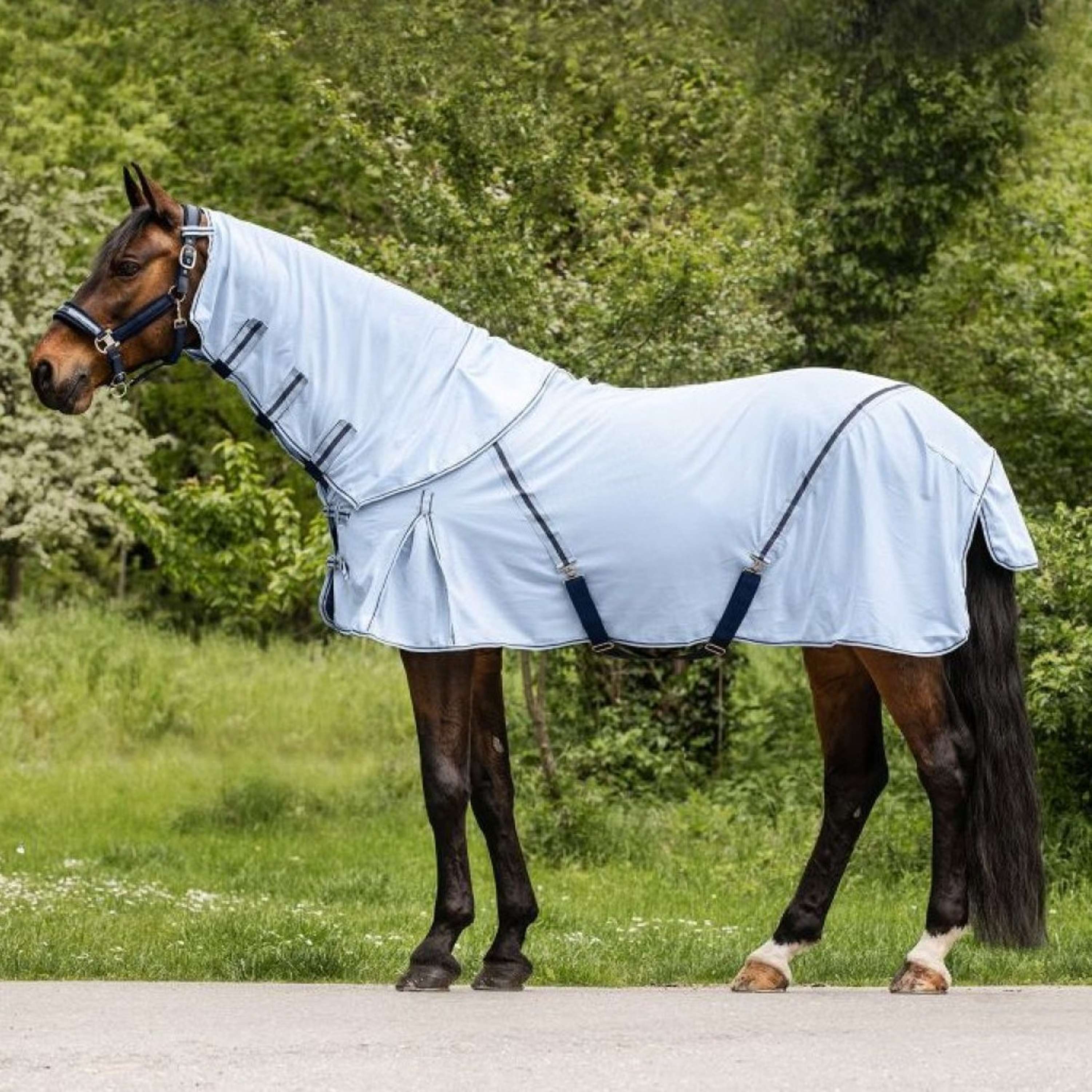 Waldhausen Fly Rug Protect with Loose Neck Light blue/Night blue