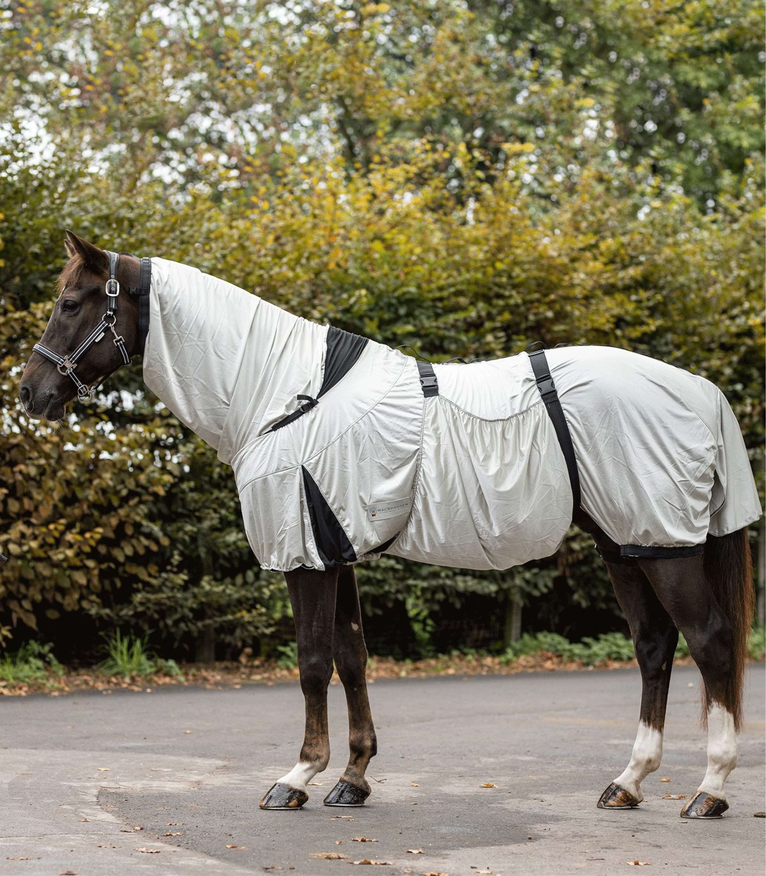 Waldhausen Eczema Rug Silver Grey