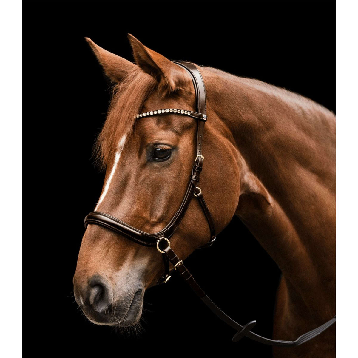 Waldhausen Bridle X-Line Sensation Brown