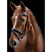 Waldhausen Bridle X-Line Clincher Black