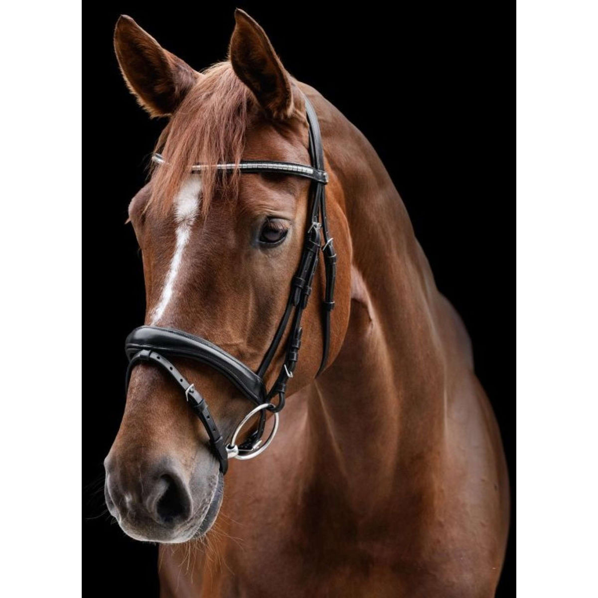 Waldhausen Bridle X-Line Clincher Brown