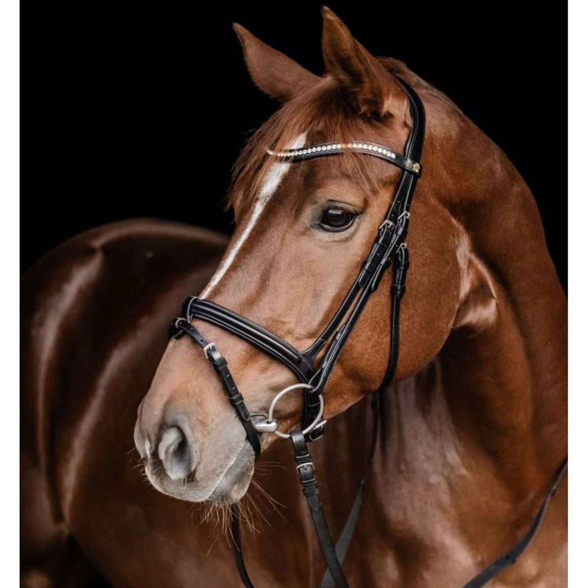 Waldhausen Bridle S-Line Harmony Brown