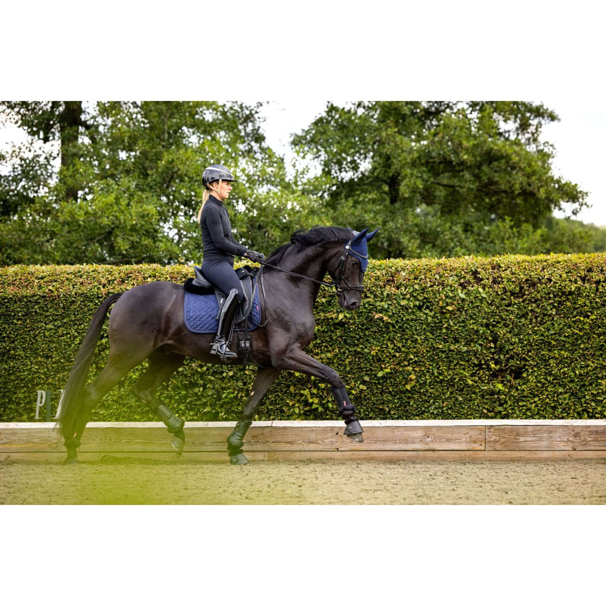 LeMieux Saddlepad Crystal Suede Dressage Navy