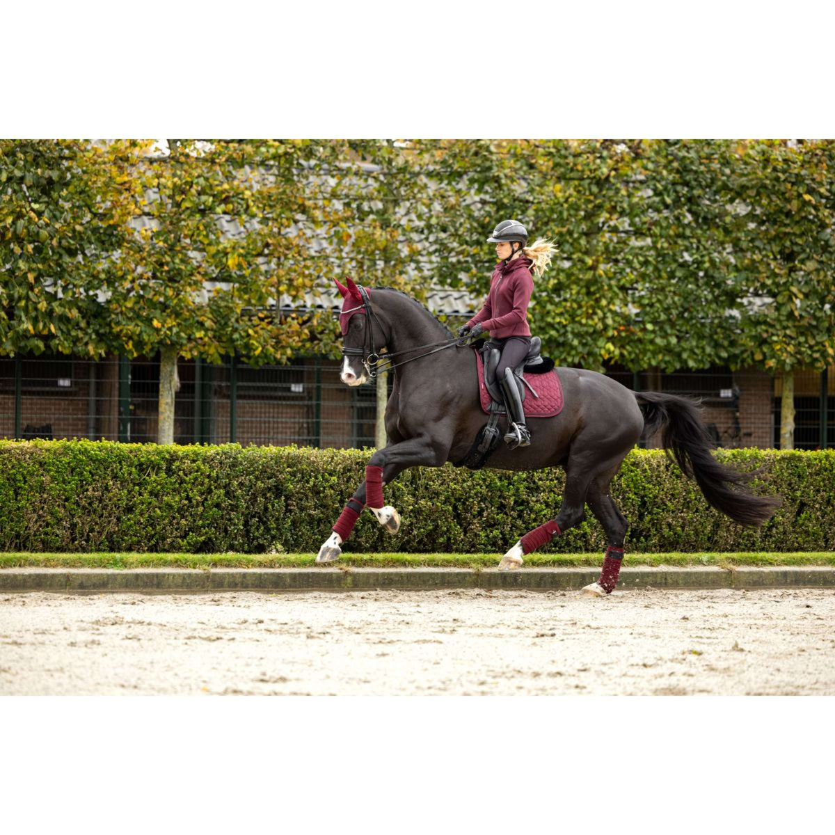 LeMieux Saddlepad Crystal Suede Dressage Burgundy