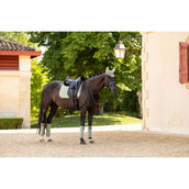 LeMieux Saddlepad Classique Suede Dressage Fern