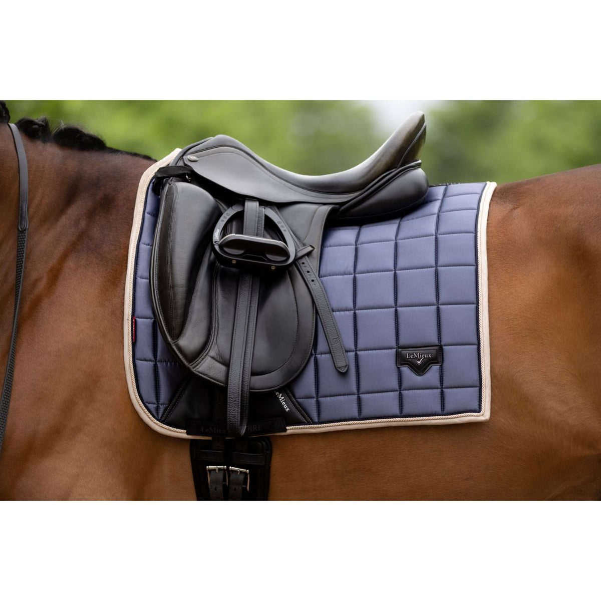 LeMieux Saddlepad Loire Classic Dressage Jay Blue