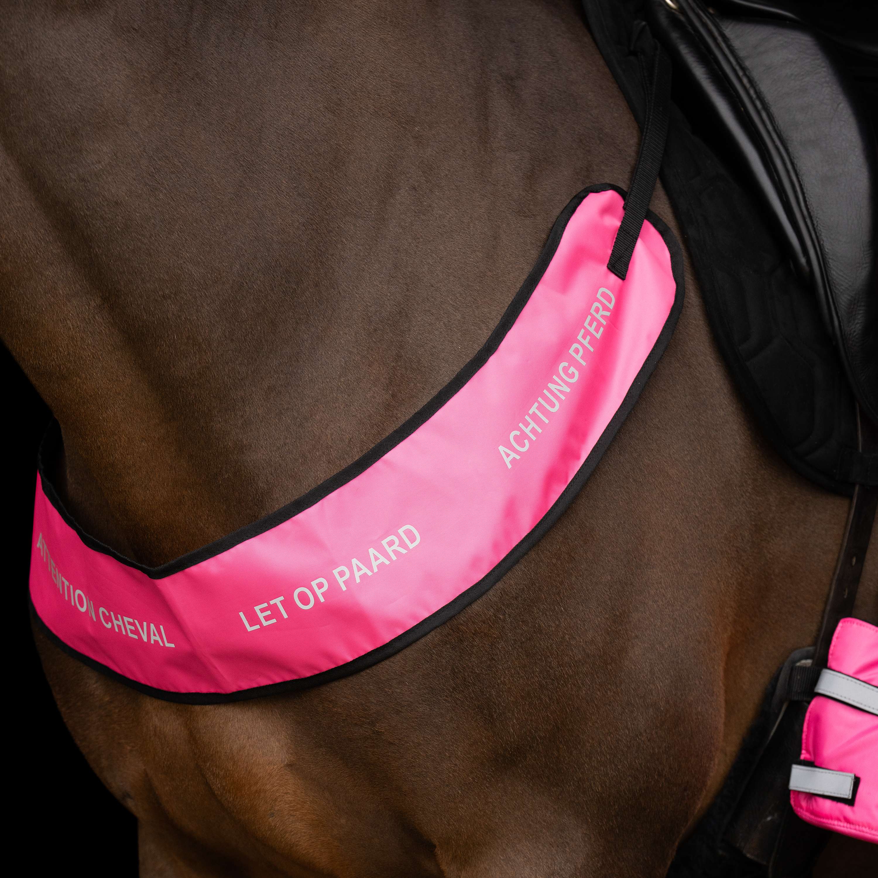 Imperial Riding Chest Buckle IRHReflective Pink