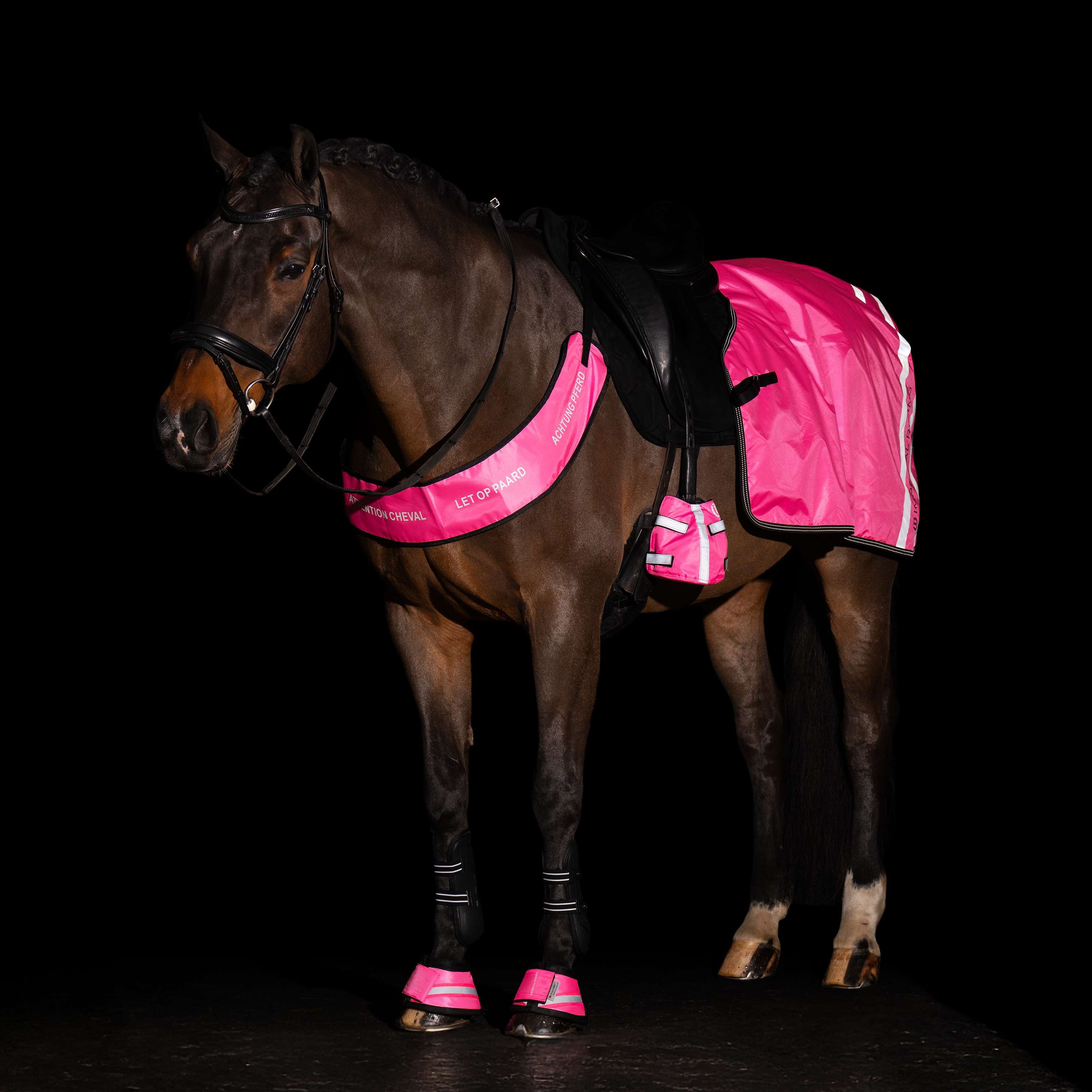 Imperial Riding Chest Buckle IRHReflective Pink
