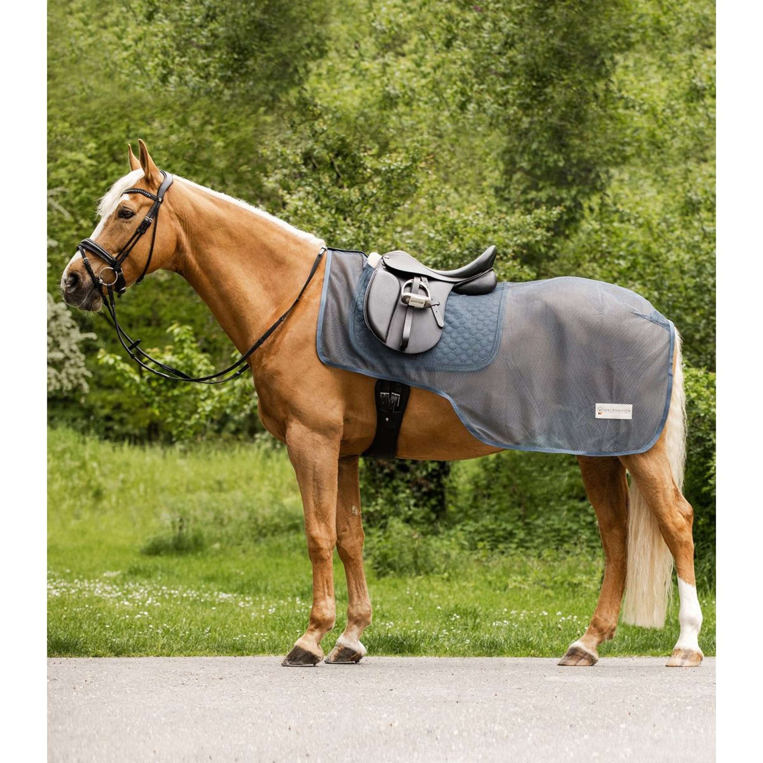 Waldhausen Anti-fly Riding Rug Comfort Chalk Blue Waldhausen Anti-fly Riding Rug Comfort Chalk Blue