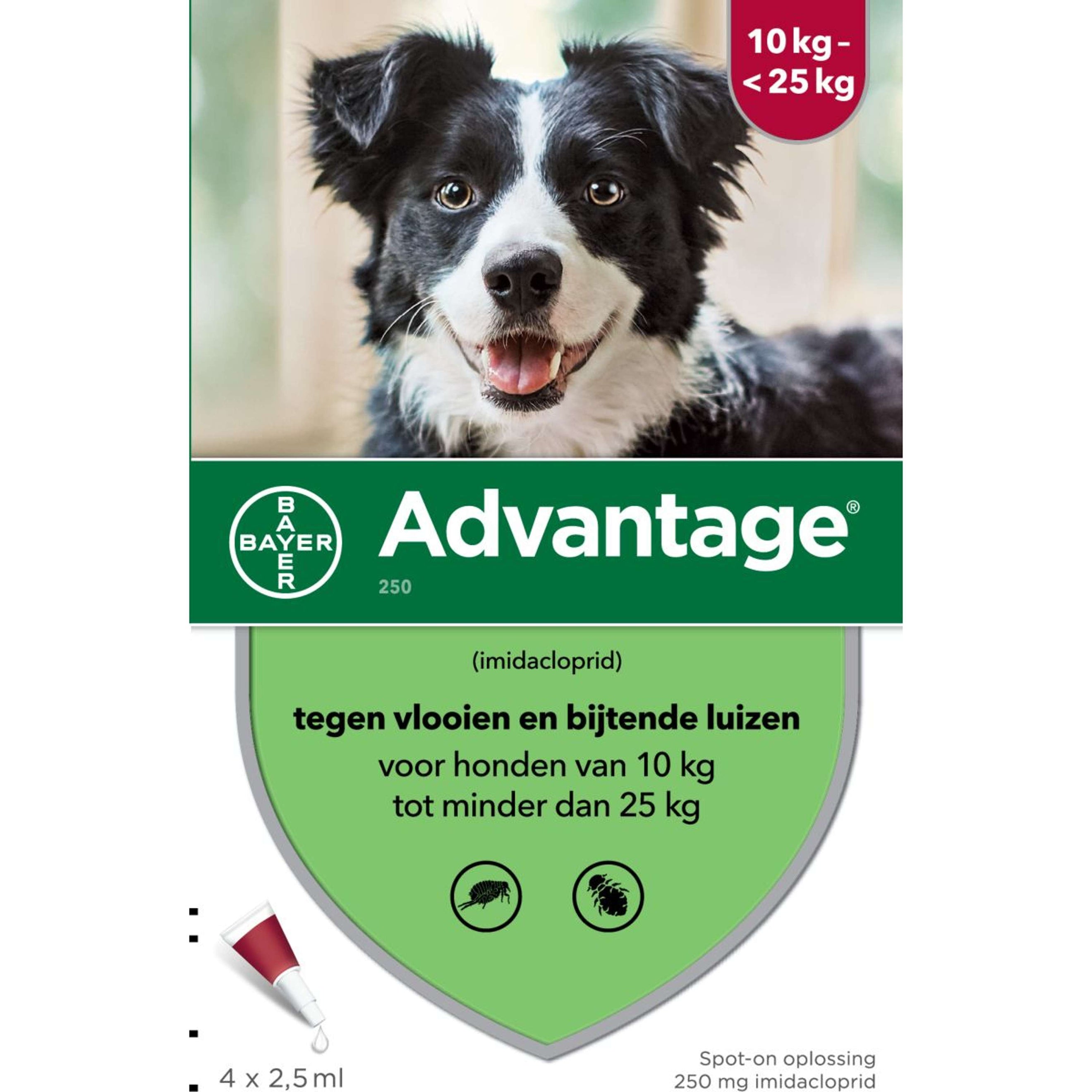 Advantage Advantage 250 Spot-On Dog 10-25kg 4 Pipettes