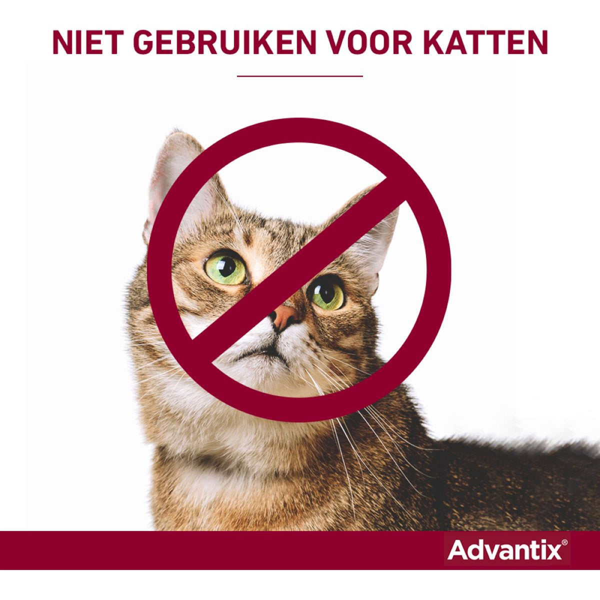 Advantix Dewormer 100/500 Spot-On Dog 4-10kg