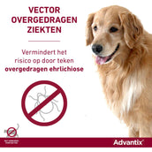 Advantix 600/3000 Spot On Dog 40-60kg