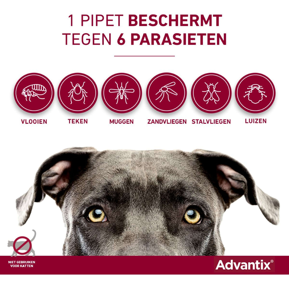 Advantix Dewormer 250/1250 Spot-On Dog 10-25kg