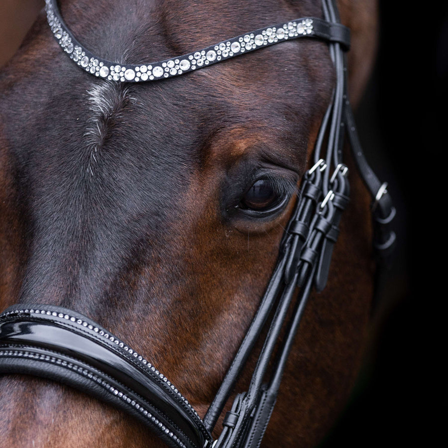 Imperial Riding Double Bridle IRHOlympia Black/Silver