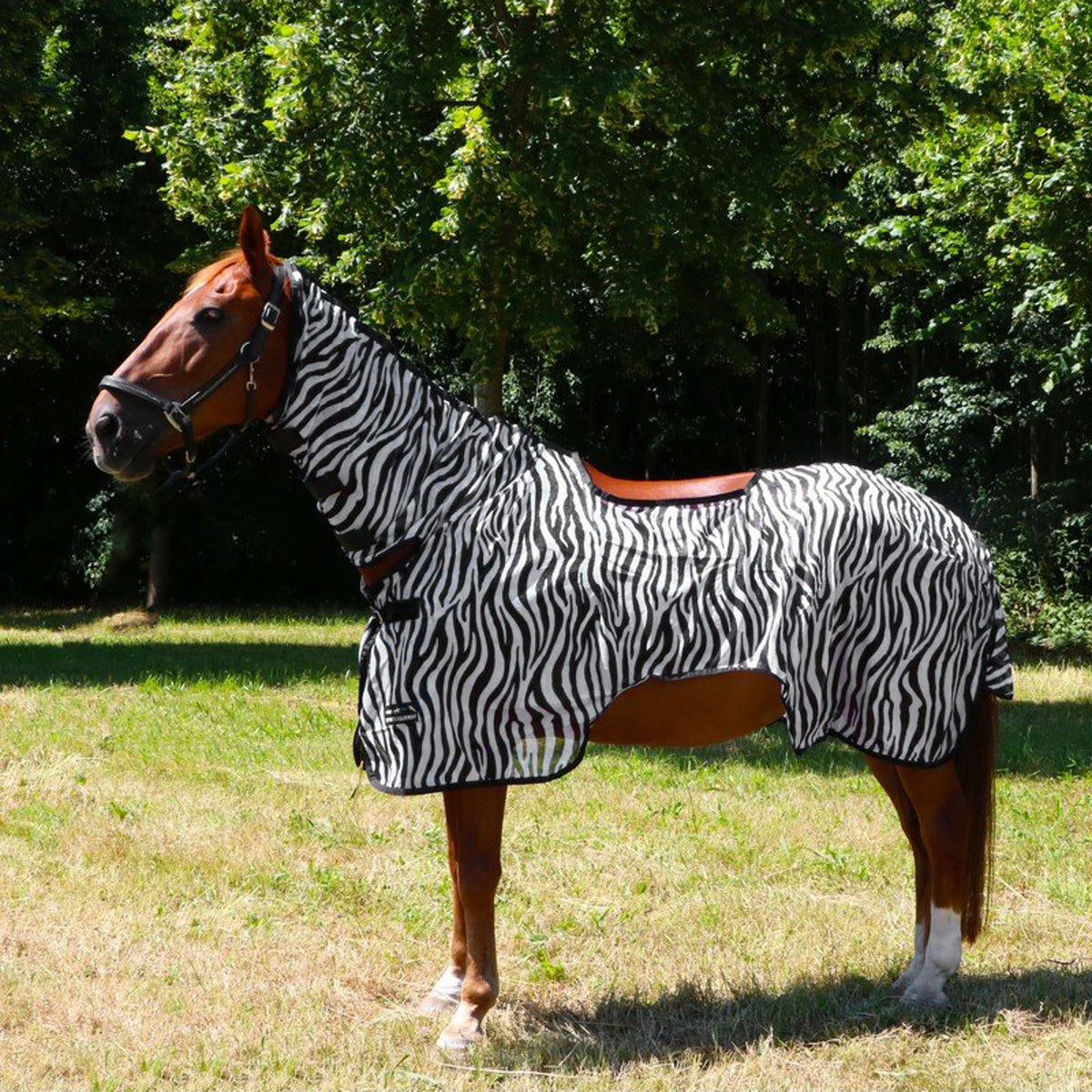 HKM Rideon Fly Sheet Zebra Zebra