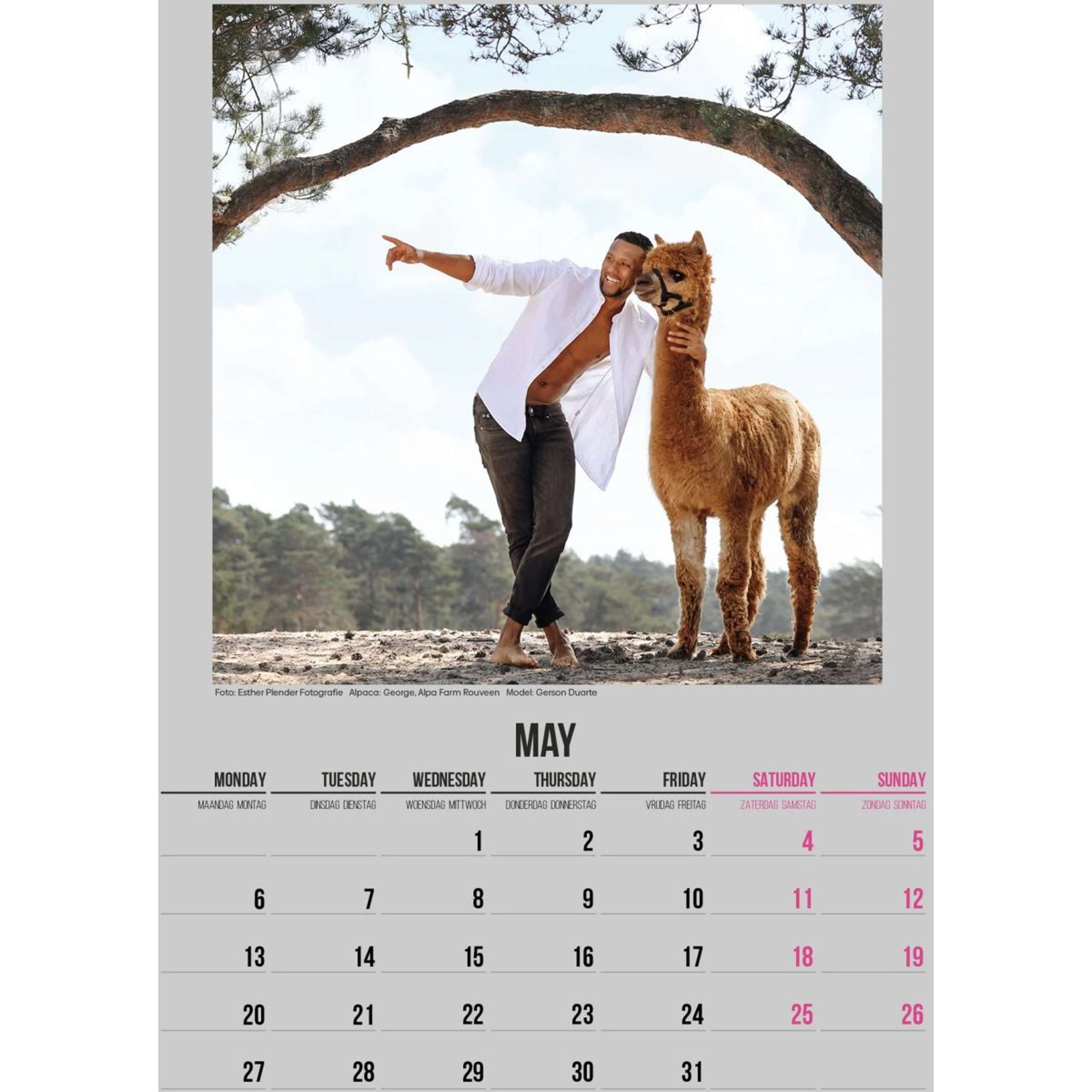 Alpaca and Hunk Calendar