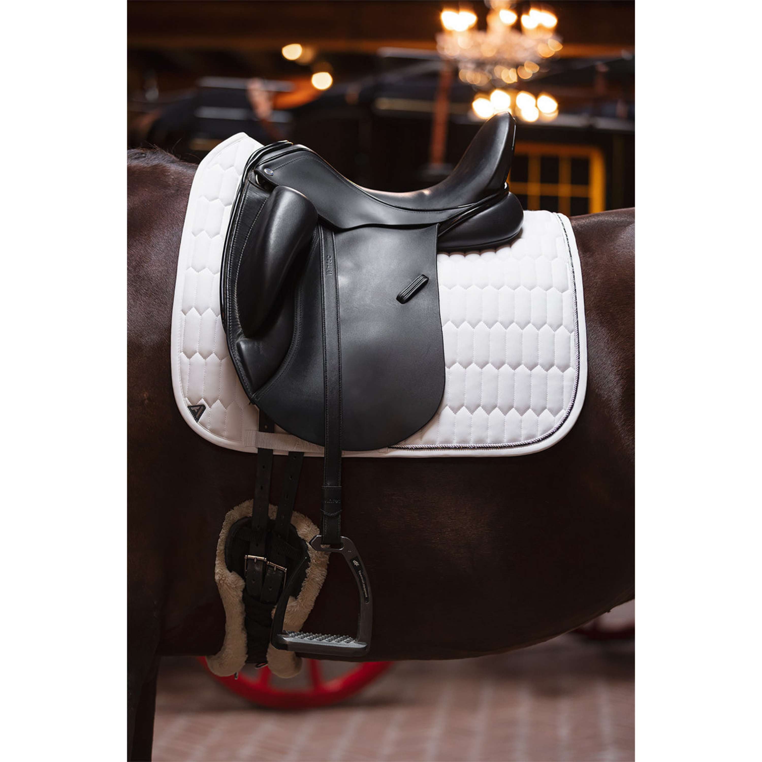 ANKY Saddlepad Perception C-Wear Dressage White