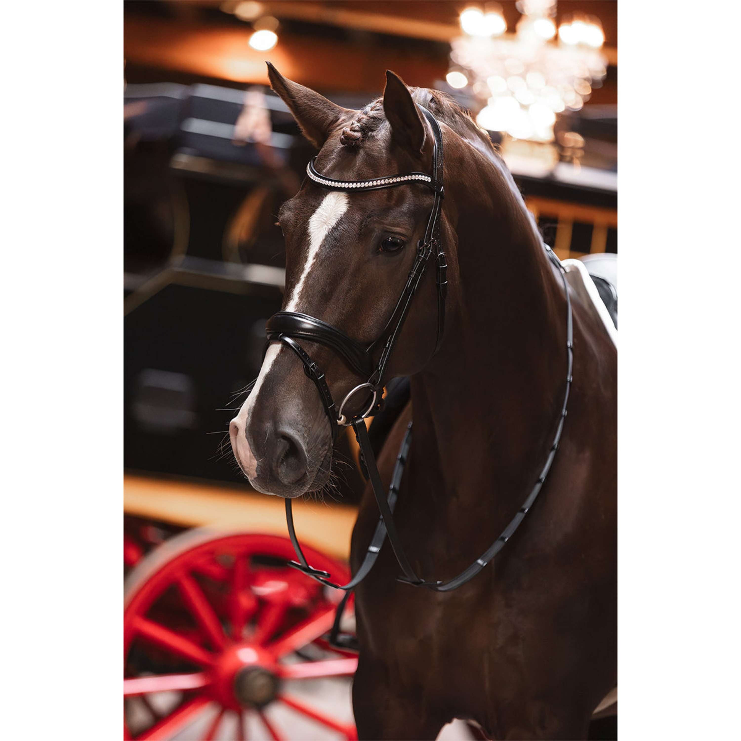 ANKY Bridle Profi ATH25001 Anatomic Black