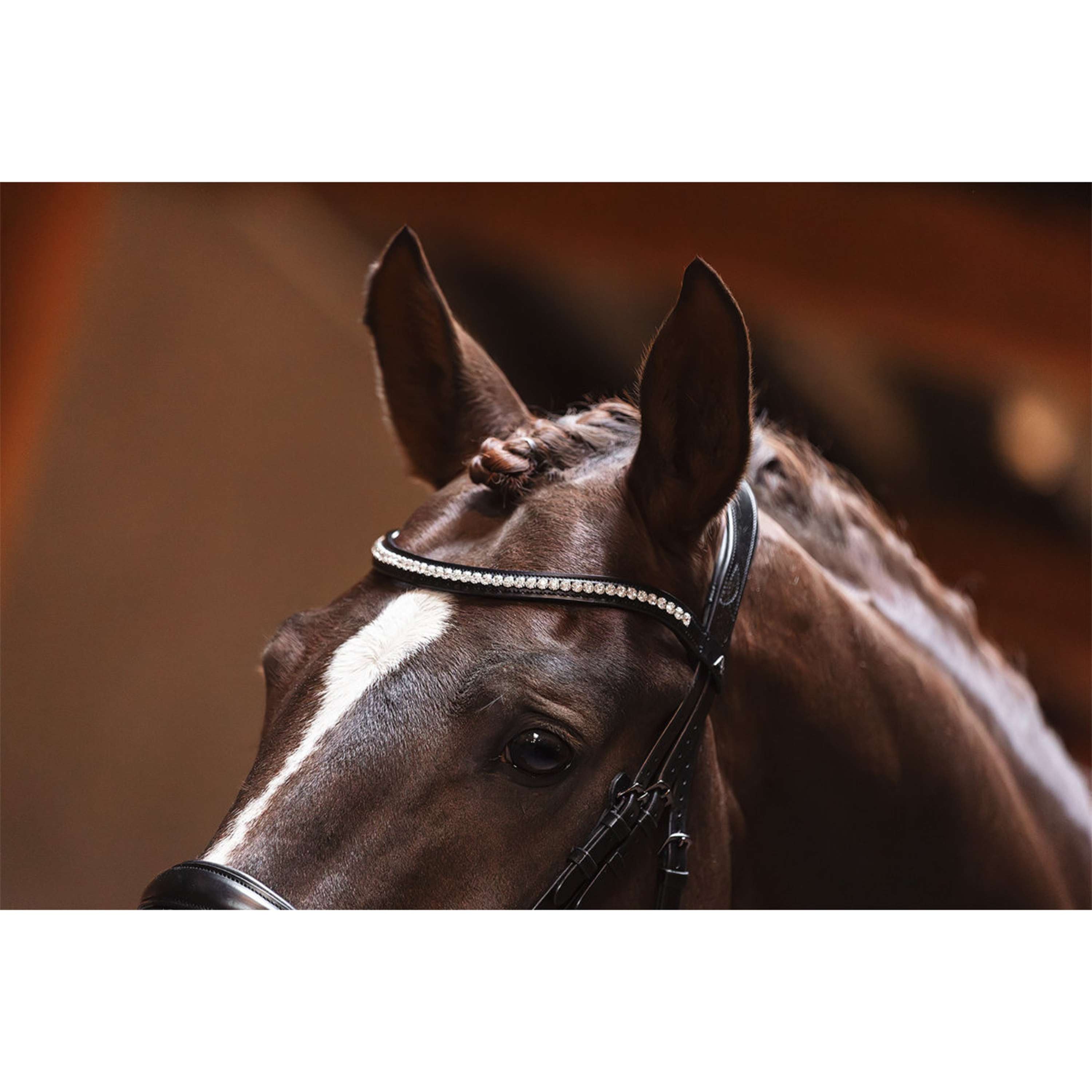 ANKY Bridle Profi ATH25001 Anatomic Black