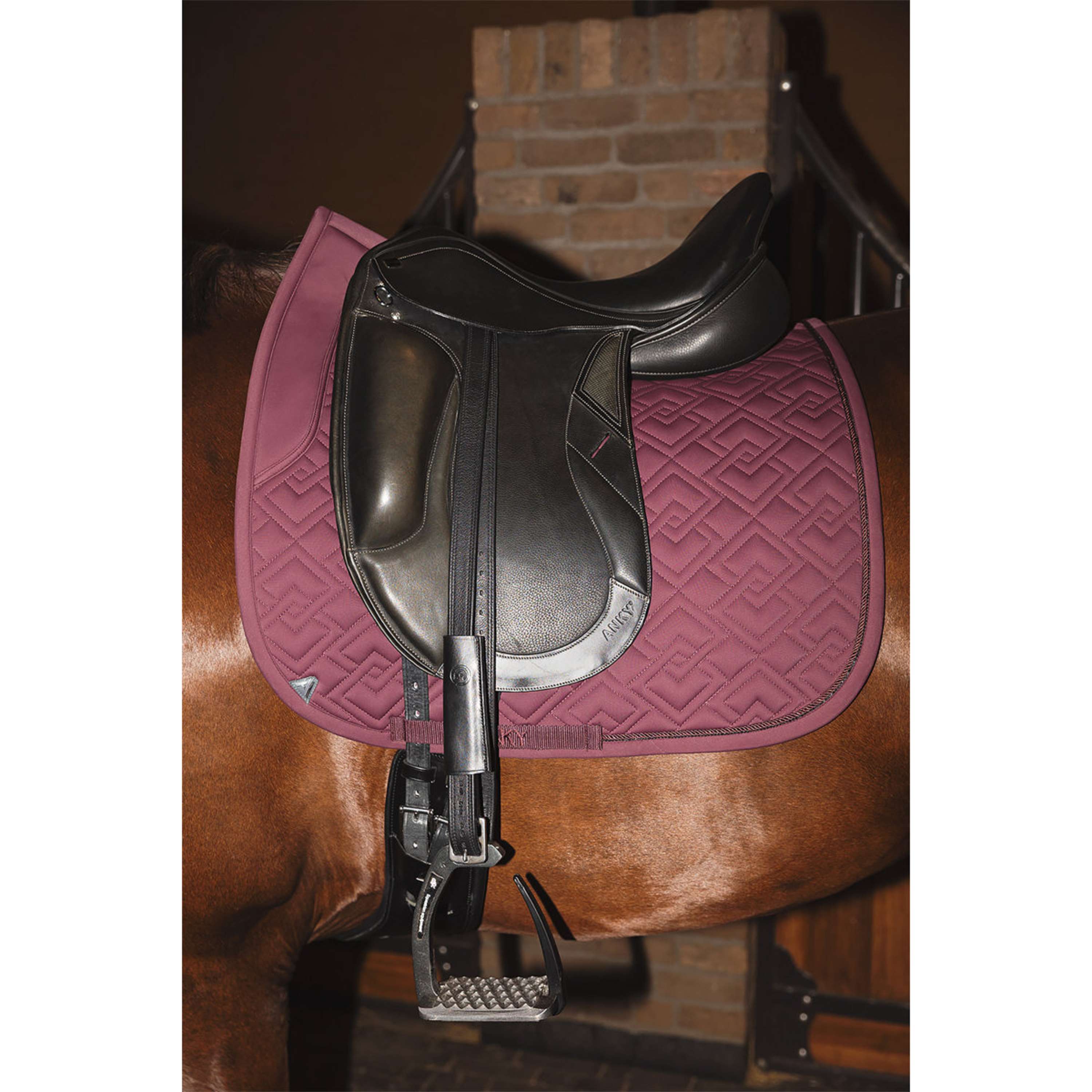 ANKY Saddlepad Professional XB25001 3C Dressage Sassafras