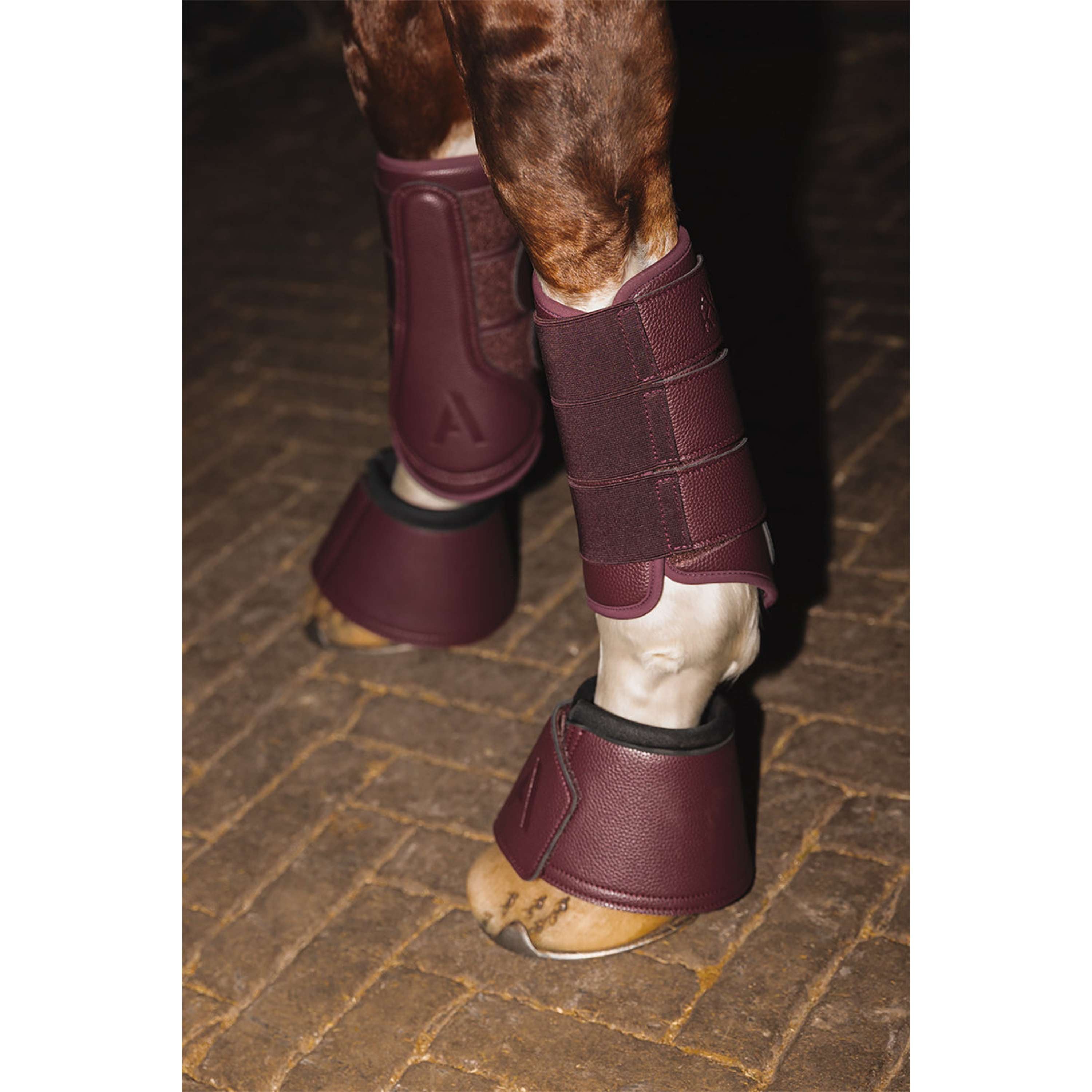 ANKY Dressage Boots ATB25005 3C Sassafras