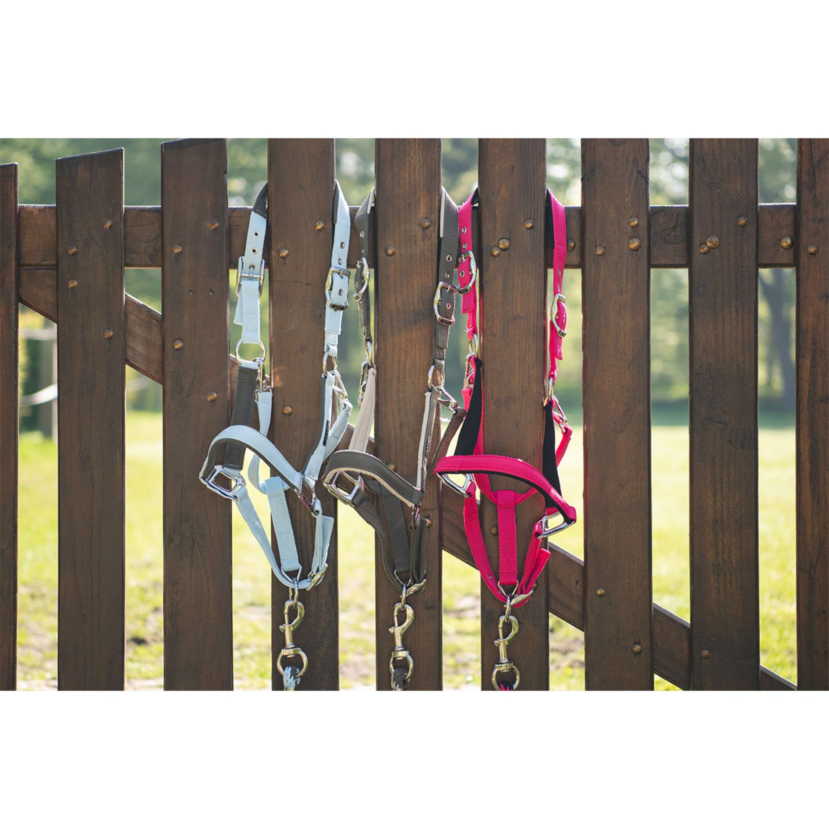 ANKY Head Collar Set ATH261001 Innuendo ANKY Head Collar Set ATH261001 Innuendo