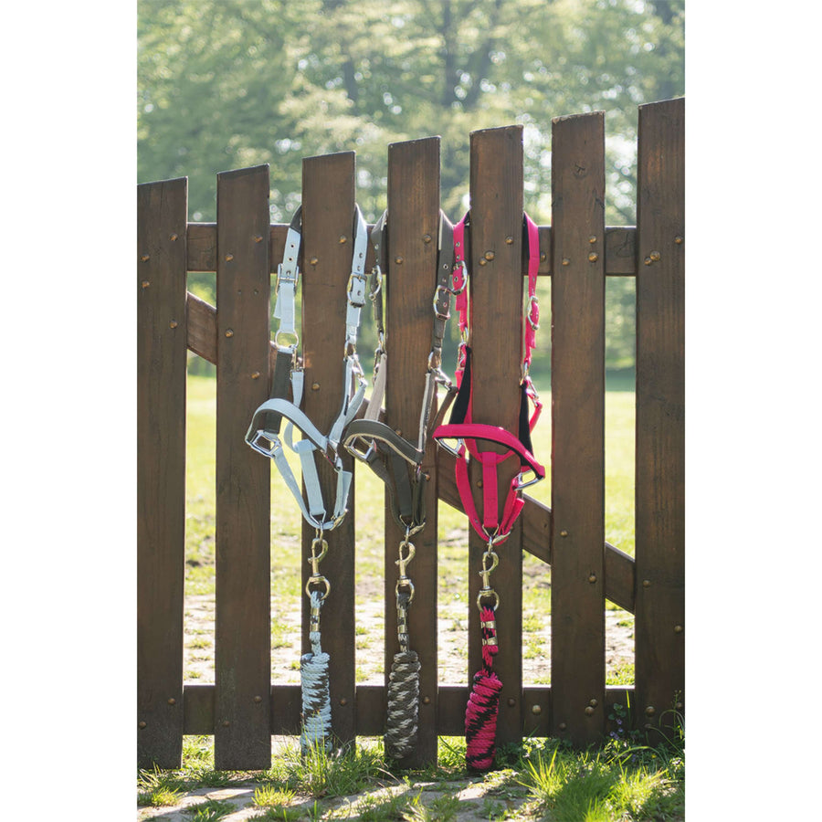 ANKY Head Collar Set ATH261001 Bungee Cord