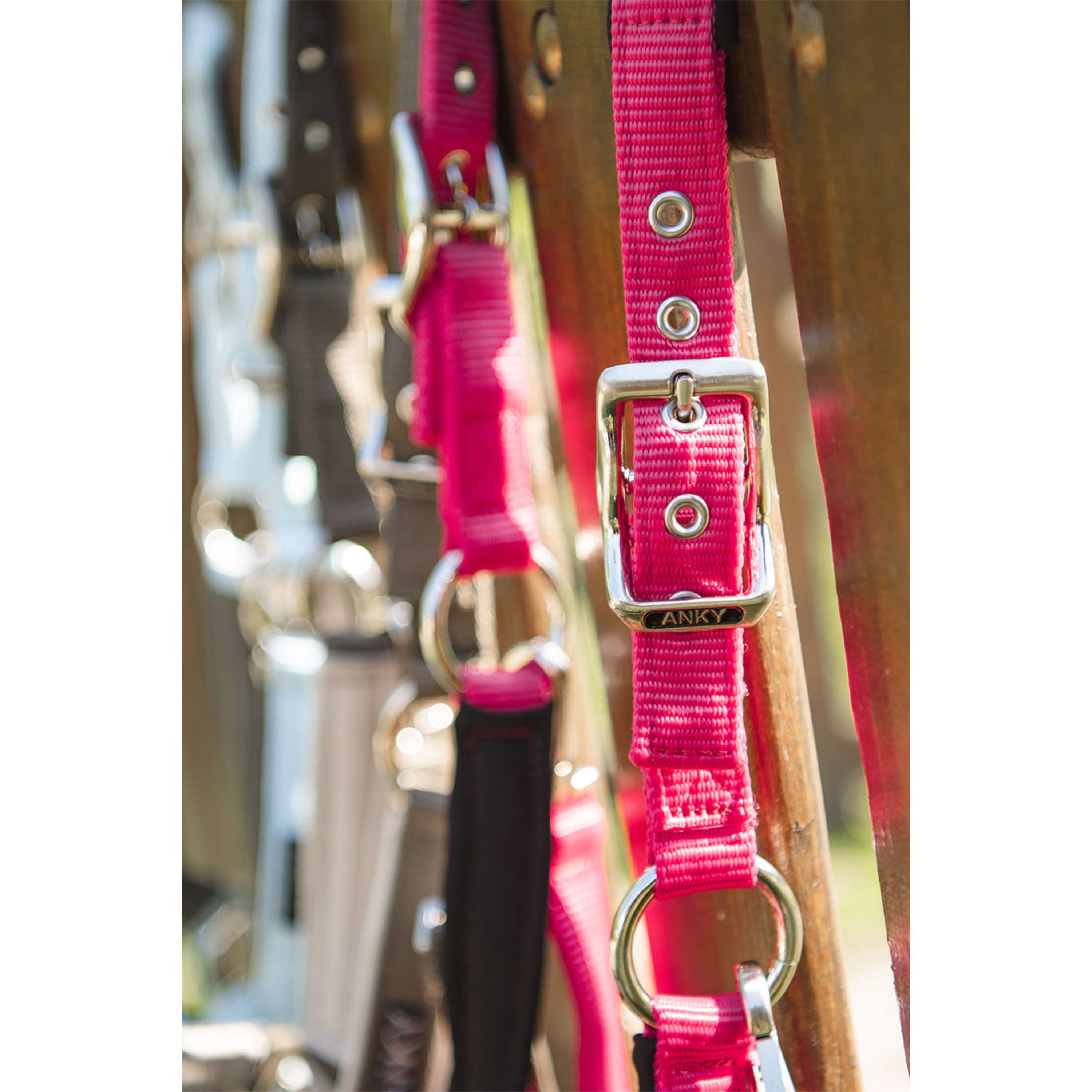 ANKY Halter Set ATH261001 Innuendo