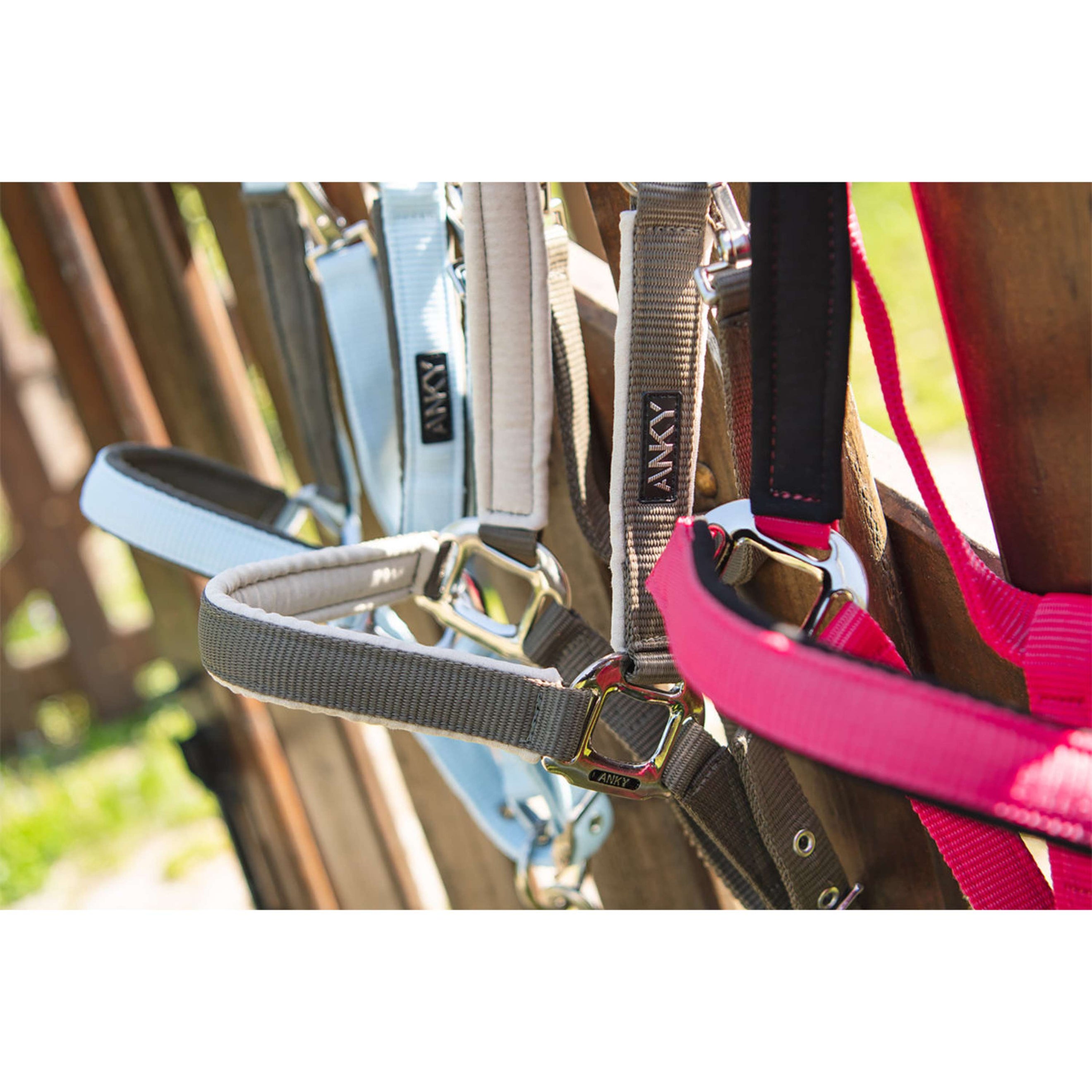 ANKY Head Collar Set ATH261001 Bungee Cord