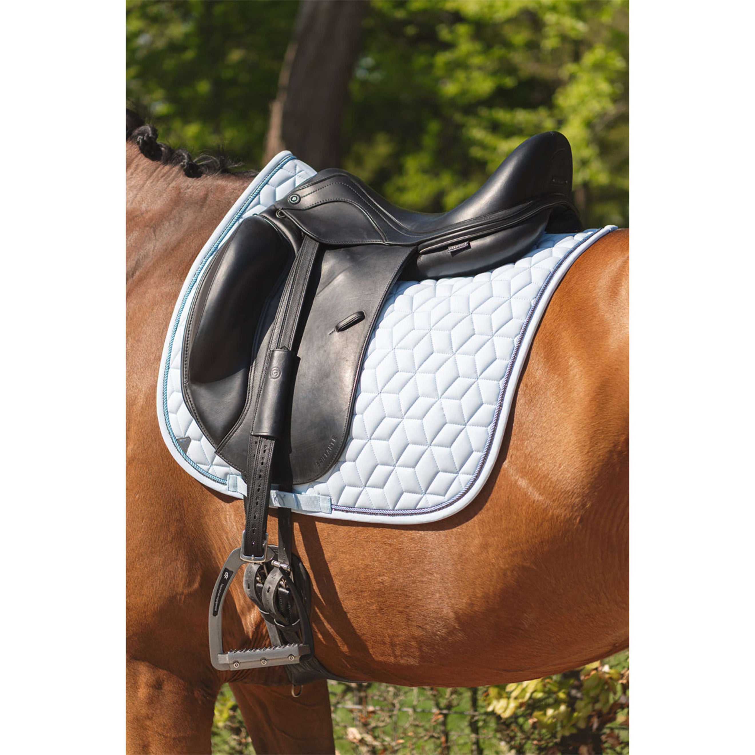 ANKY Saddlepad Vivacity XB261111 Dressage Nantucket Breeze ANKY Saddlepad Vivacity XB261111 Dressage Nantucket Breeze