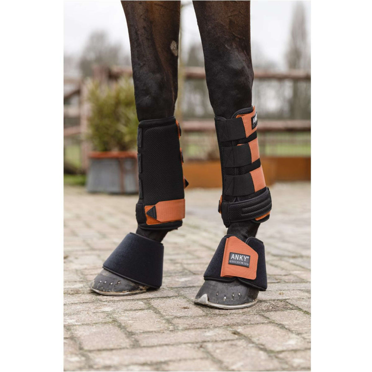 ANKY Leg protection 3D Mesh Black/Rust