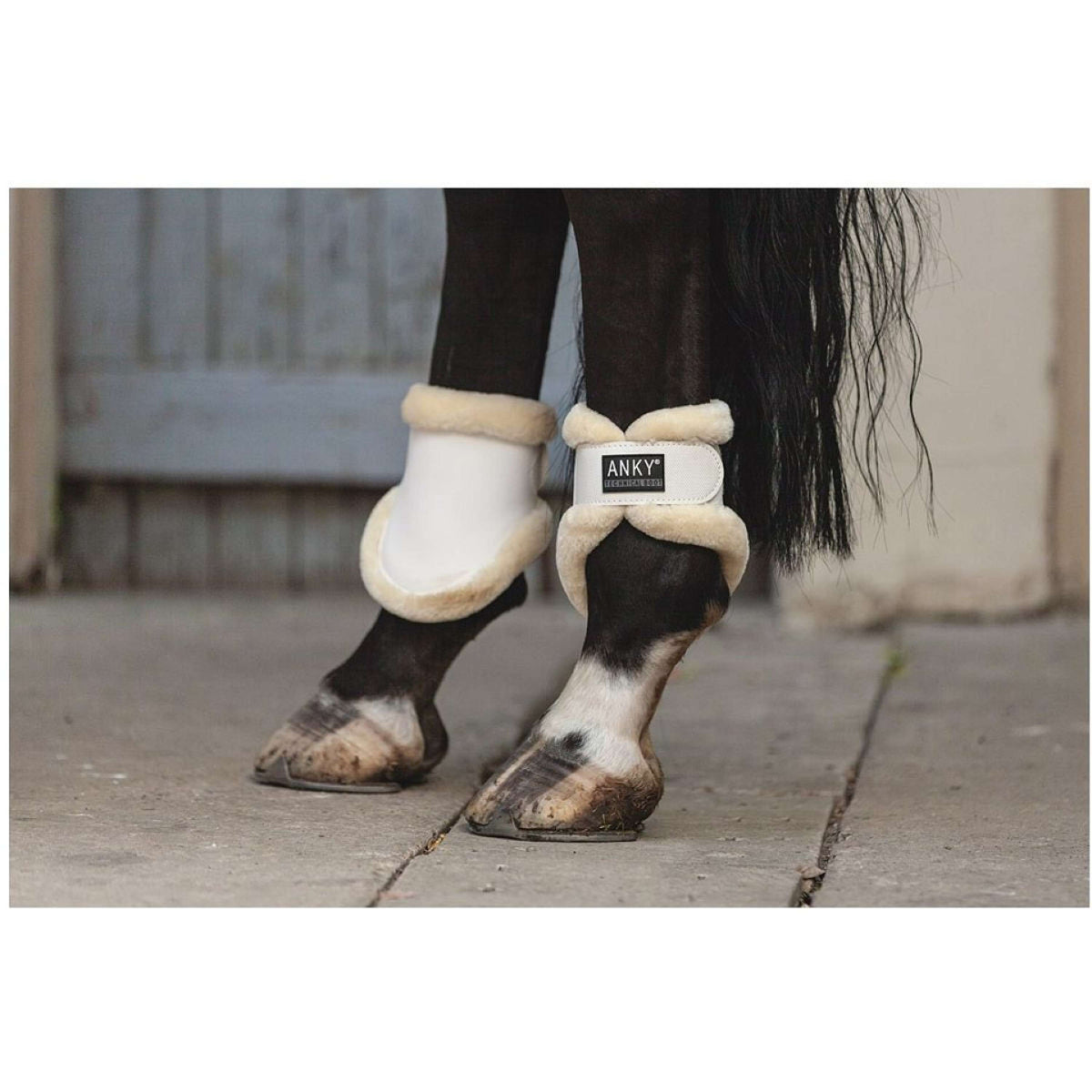 ANKY Fetlock Boots ATB241006 Bright White