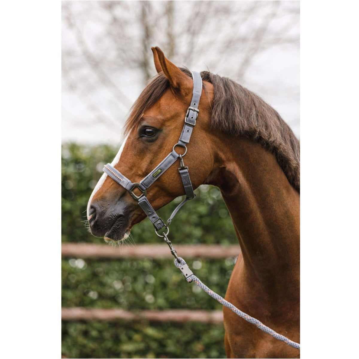 ANKY Head Collar Set Stones Steel Grey