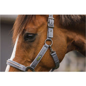 ANKY Head Collar Set Stones Steel Grey