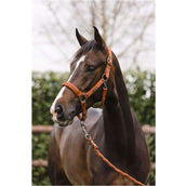 ANKY Head Collar Set Stones Rust