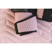 ANKY Saddlepad AW25 Suede Dressage Bridal Rose